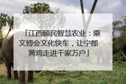 江西颐民智慧农业：乘文博会文化快车，让宁都黄鸡走进千家万户