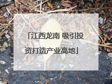 江西龙南 吸引投资打造产业高地