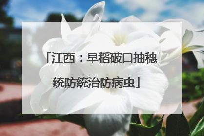 江西：早稻破口抽穗 统防统治防病虫