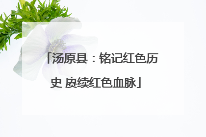 汤原县：铭记红色历史 赓续红色血脉