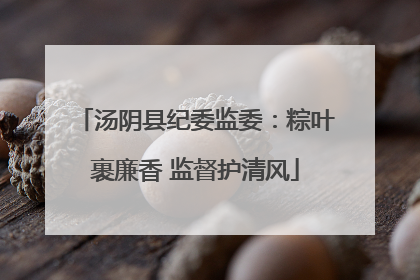 汤阴县纪委监委：粽叶裹廉香 监督护清风