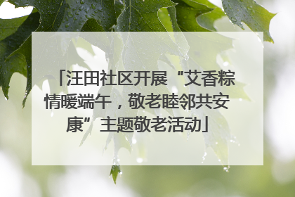 汪田社区开展“艾香粽情暖端午，敬老睦邻共安康”主题敬老活动
