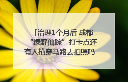 治理1个月后 成都“绿野仙踪”打卡点还有人横穿马路去拍照吗？｜民情瞭望