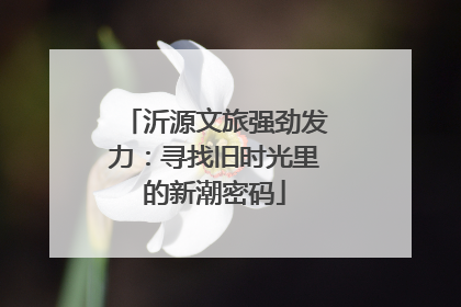 沂源文旅强劲发力：寻找旧时光里的新潮密码