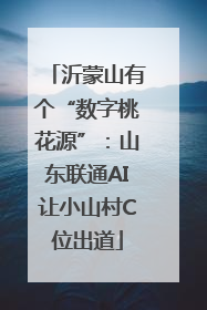 沂蒙山有个“数字桃花源”：山东联通AI让小山村C位出道