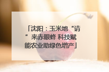 沈阳：玉米地“请”来赤眼蜂 科技赋能农业助绿色增产