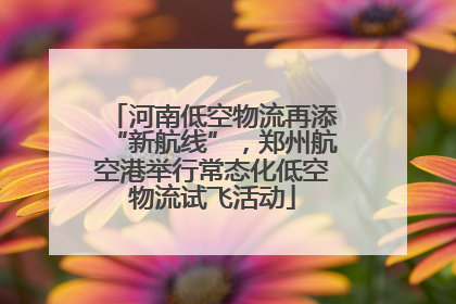 河南低空物流再添“新航线”，郑州航空港举行常态化低空物流试飞活动