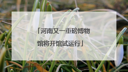 河南又一重磅博物馆将开馆试运行