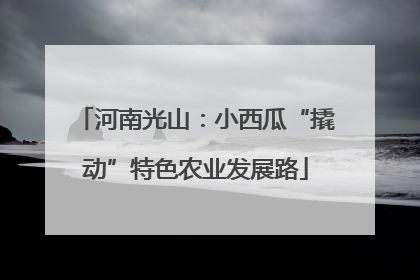 河南光山：小西瓜“撬动”特色农业发展路