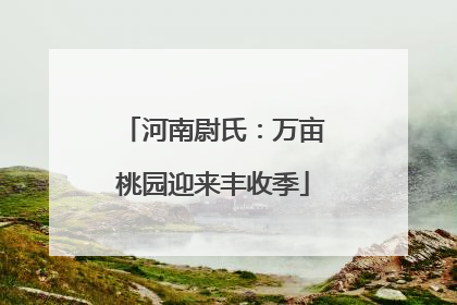 河南尉氏：万亩桃园迎来丰收季