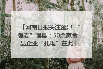 河南日报关注延津 “强麦”强县：50余家食品企业“扎堆”在此