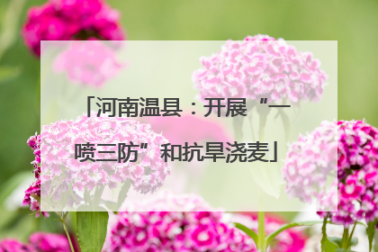 河南温县：开展“一喷三防”和抗旱浇麦