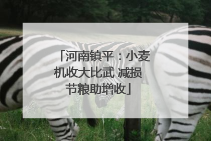 河南镇平：小麦机收大比武 减损节粮助增收
