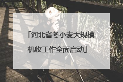 河北省冬小麦大规模机收工作全面启动