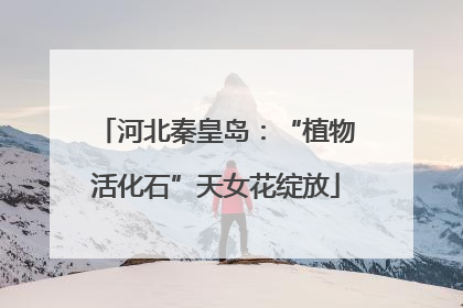 河北秦皇岛：“植物活化石”天女花绽放