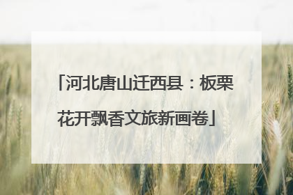 河北唐山迁西县：板栗花开飘香文旅新画卷