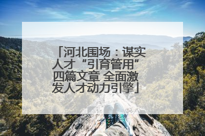 河北围场：谋实人才“引育管用”四篇文章 全面激发人才动力引擎