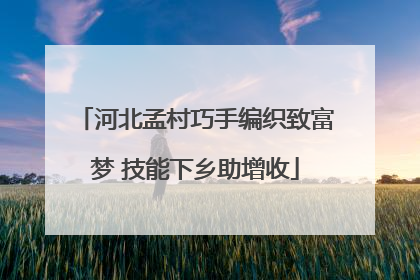 河北孟村巧手编织致富梦 技能下乡助增收