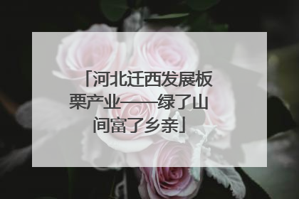 河北迁西发展板栗产业——绿了山间富了乡亲