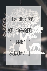 河北：守好“饭碗田” 用好“发展地”
