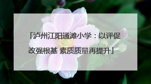 泸州江阳通滩小学：以评促改强根基 素质质量再提升