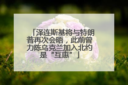 泽连斯基将与特朗普再次会晤，此前曾力陈乌克兰加入北约是“互惠”