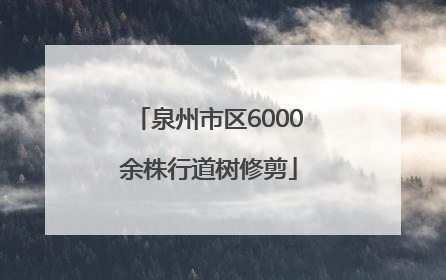 泉州市区6000余株行道树修剪