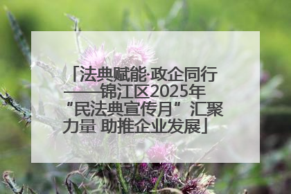 法典赋能·政企同行——锦江区2025年“民法典宣传月”汇聚力量 助推企业发展