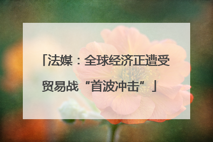 法媒：全球经济正遭受贸易战“首波冲击”