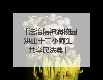 法治精神润校园 洪山十二小师生共学民法典