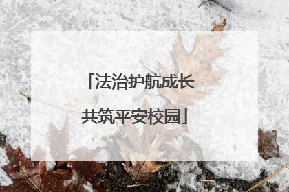 法治护航成长 共筑平安校园