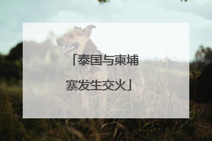 泰国与柬埔寨发生交火