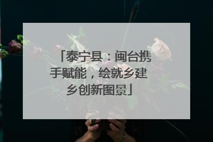 泰宁县：闽台携手赋能，绘就乡建乡创新图景