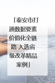 泰安市打通数据要素价值化全链路 入选省级改革精品案例