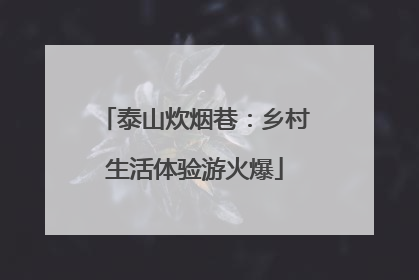 泰山炊烟巷：乡村生活体验游火爆
