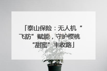 泰山保险：无人机“飞防”赋能，守护樱桃“甜蜜”丰收路