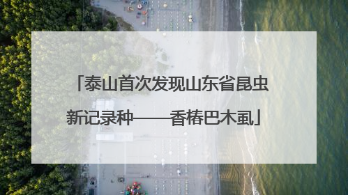 泰山首次发现山东省昆虫新记录种——香椿巴木虱