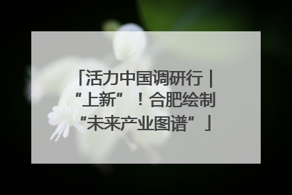 活力中国调研行｜“上新”！合肥绘制“未来产业图谱”