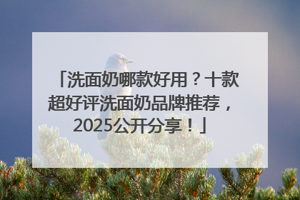 洗面奶哪款好用？十款超好评洗面奶品牌推荐，2025公开分享！