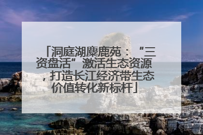 洞庭湖麋鹿苑：“三资盘活”激活生态资源，打造长江经济带生态价值转化新标杆