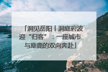 洞见岳阳丨洞庭碧波迎“归客”：一座城市与麋鹿的双向奔赴