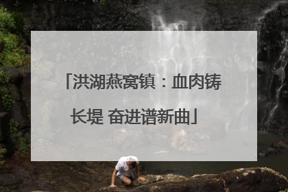 洪湖燕窝镇：血肉铸长堤 奋进谱新曲
