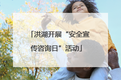 洪湖开展“安全宣传咨询日”活动