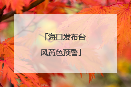 海口发布台风黄色预警