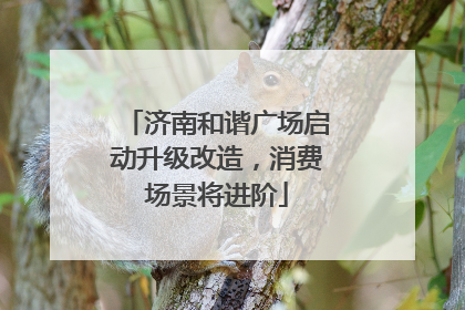济南和谐广场启动升级改造，消费场景将进阶
