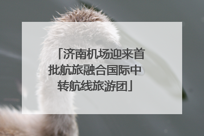 济南机场迎来首批航旅融合国际中转航线旅游团