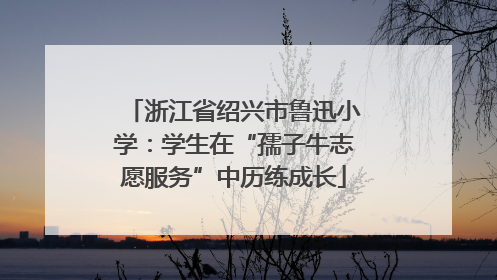 浙江省绍兴市鲁迅小学：学生在“孺子牛志愿服务”中历练成长