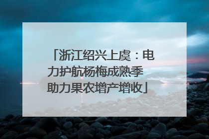 浙江绍兴上虞：电力护航杨梅成熟季 助力果农增产增收