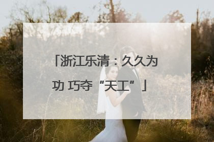 浙江乐清：久久为功 巧夺“天工”