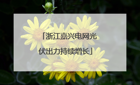 浙江嘉兴电网光伏出力持续增长